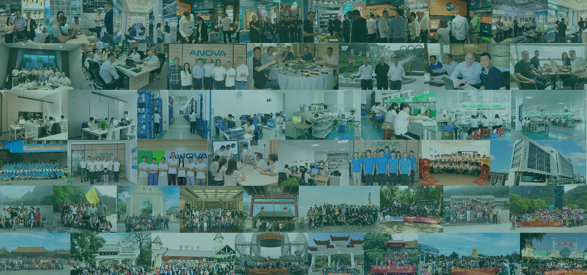 ANOVA Team and Exhibition History