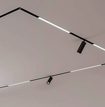20mm Standard Model