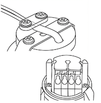 20mm Standard Model