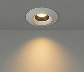 Mini Down Light Real
